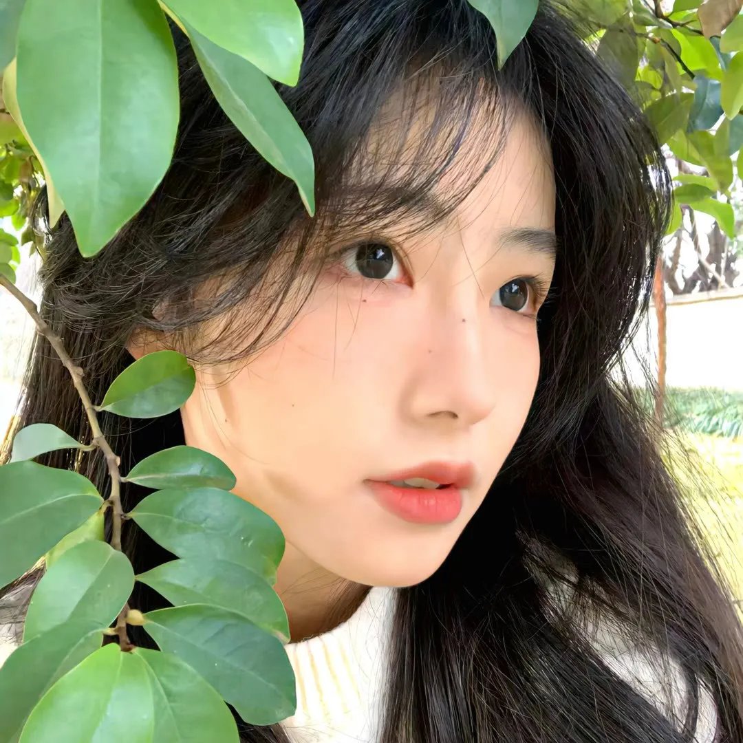 奇奇与蒂蒂